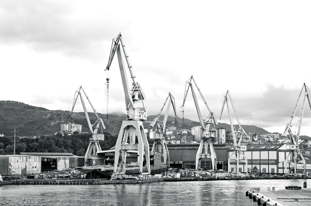 grayscale photo of crane near body of water