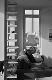 A monochrome interior features a modern shelving unit holding books and a small sculpture of an elephant. A cozy sofa with pillows is placed nearby. Soft natural light filters through a large window that overlooks an urban landscape.