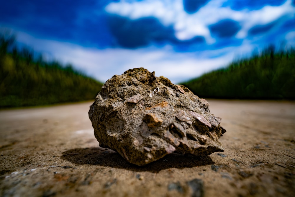 gray and black rock on brown sand during daytime