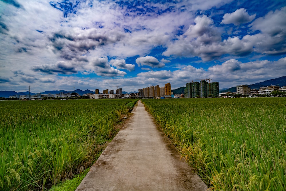 green grass field near city buildings under blue and white sunny cloudy sky during daytime