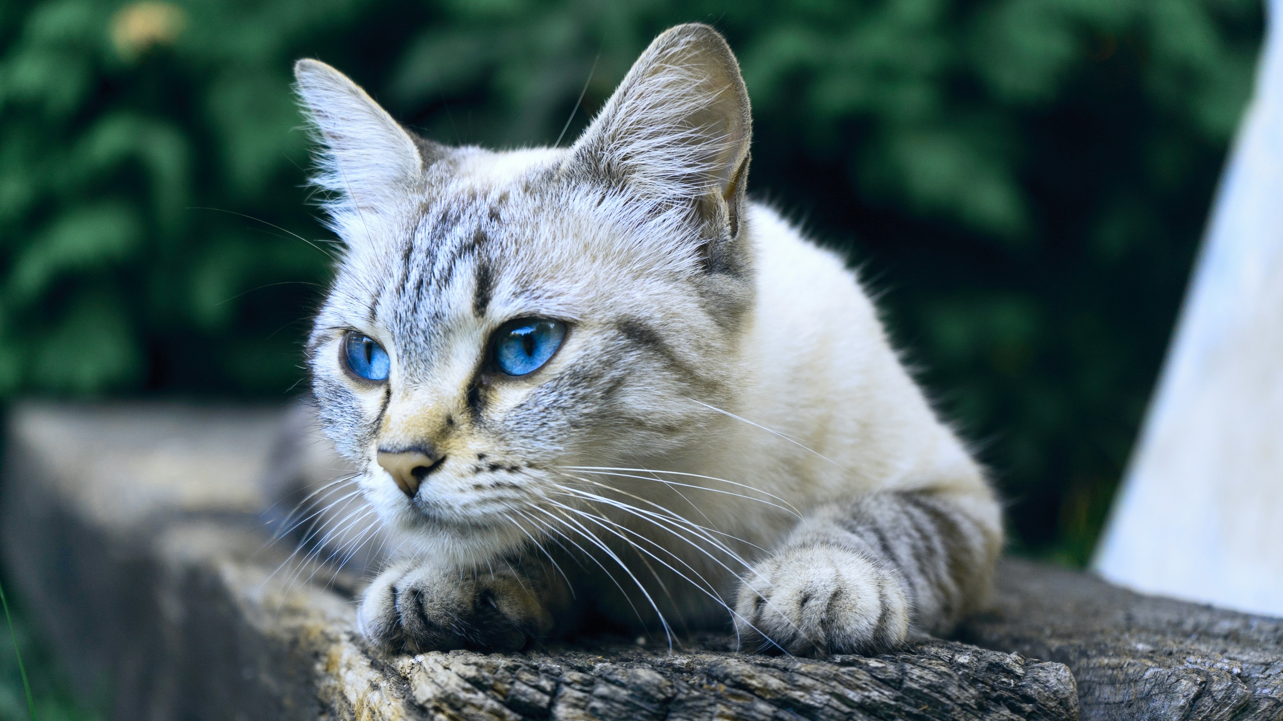 A Mind Always Working (image credits: unsplash)