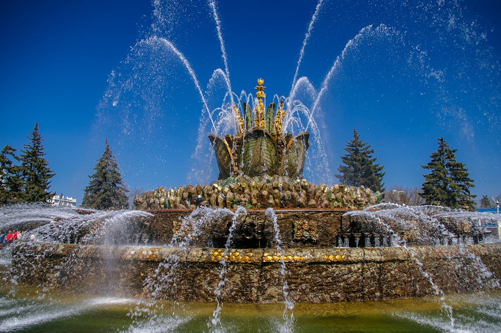 fontaine d’eau avec lumières allumées pendant la nuit