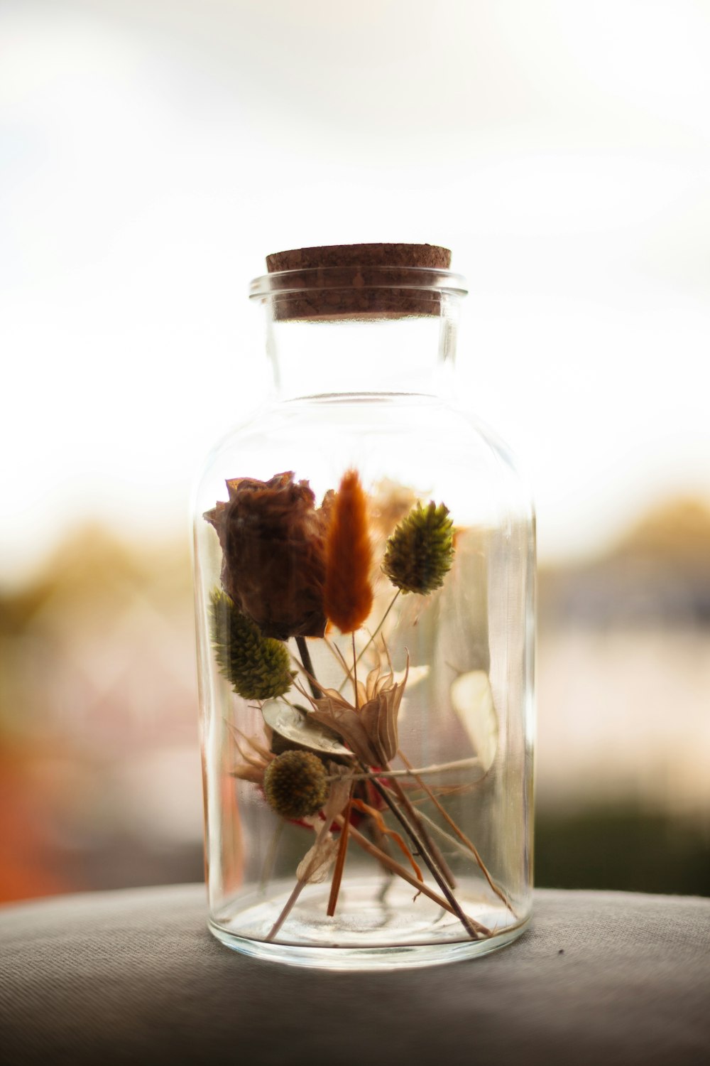 green plant in clear glass jar