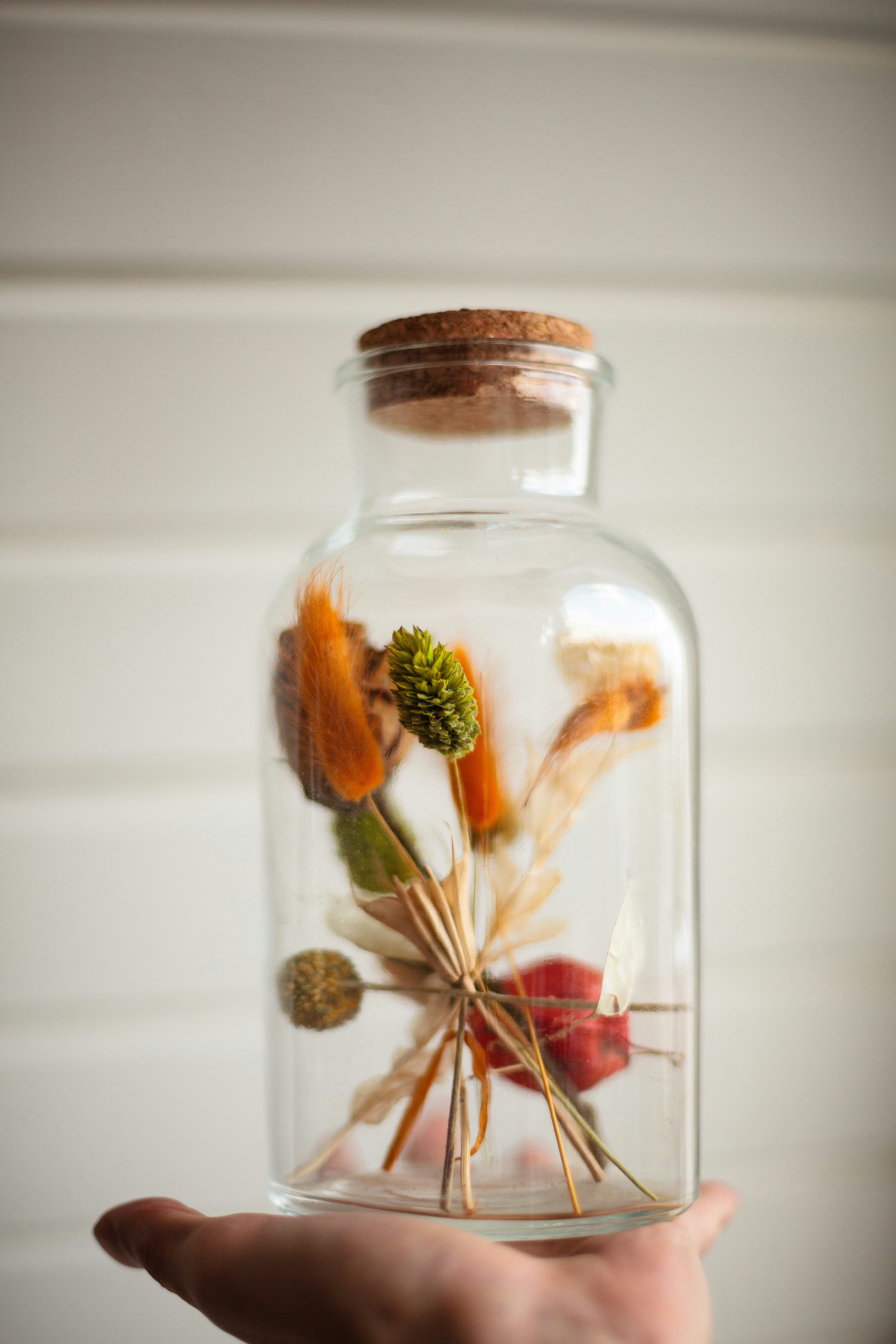 Photo by kennykennethh