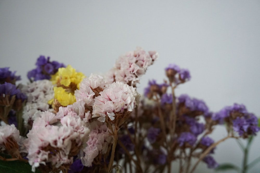 pink and yellow flowers in tilt shift lens