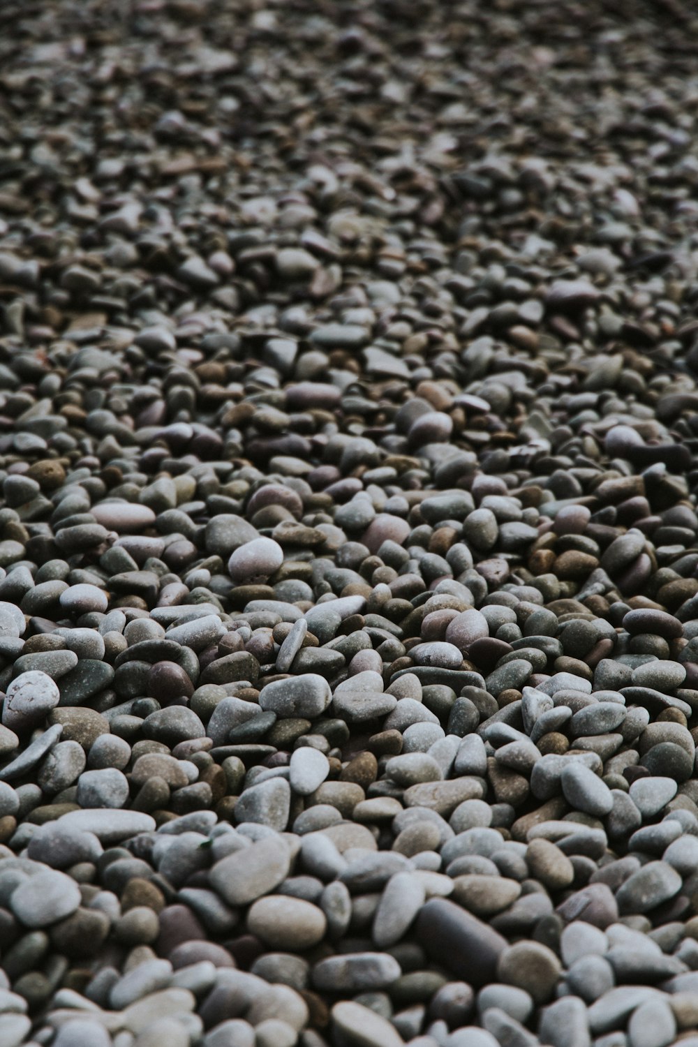 brown and gray stones on ground
