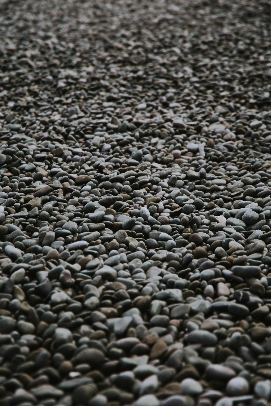 gray and black pebbles on the ground