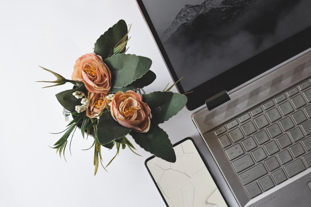 orange rose beside macbook pro