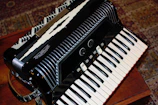 Close-up of accordion keys with natural outdoor background