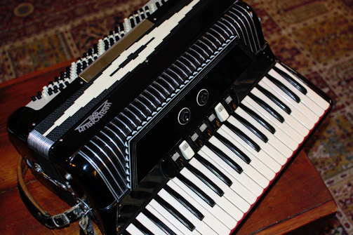 Close-up of accordion keys with natural outdoor background