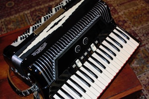 Acordeon Premium