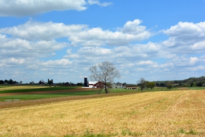 Vast agricultural farm with green fields and a rustic barn under clear skies.