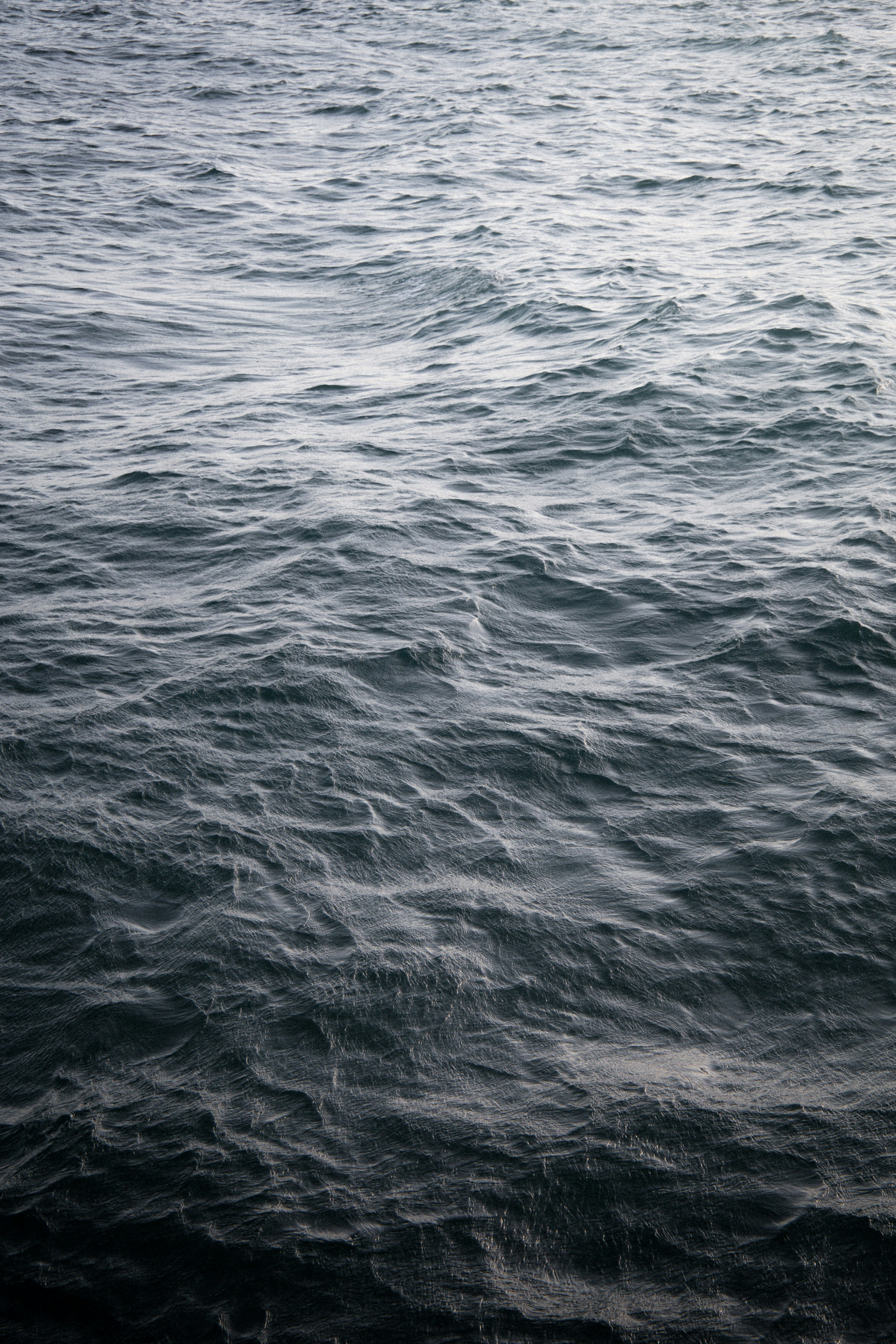 body of water during daytime