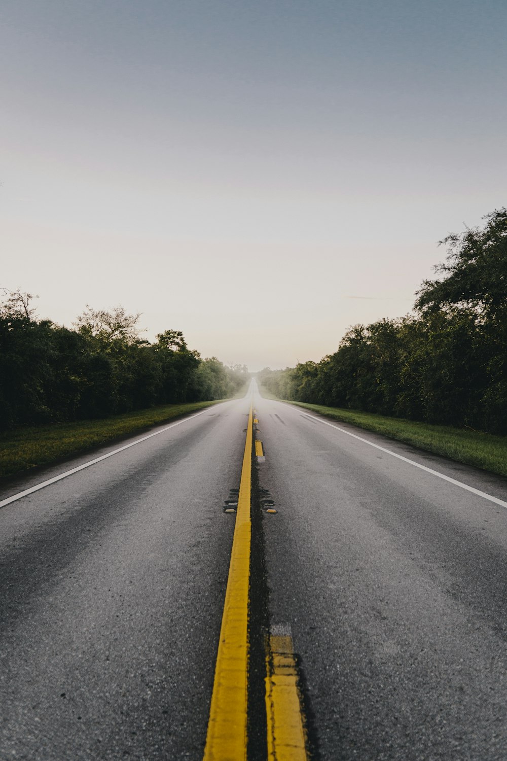 gray asphalt road between green trees under white sky during daytime