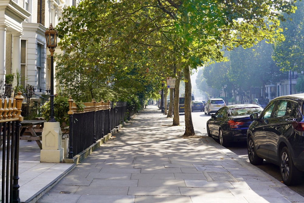 cars parked on sidewalk near trees during daytime