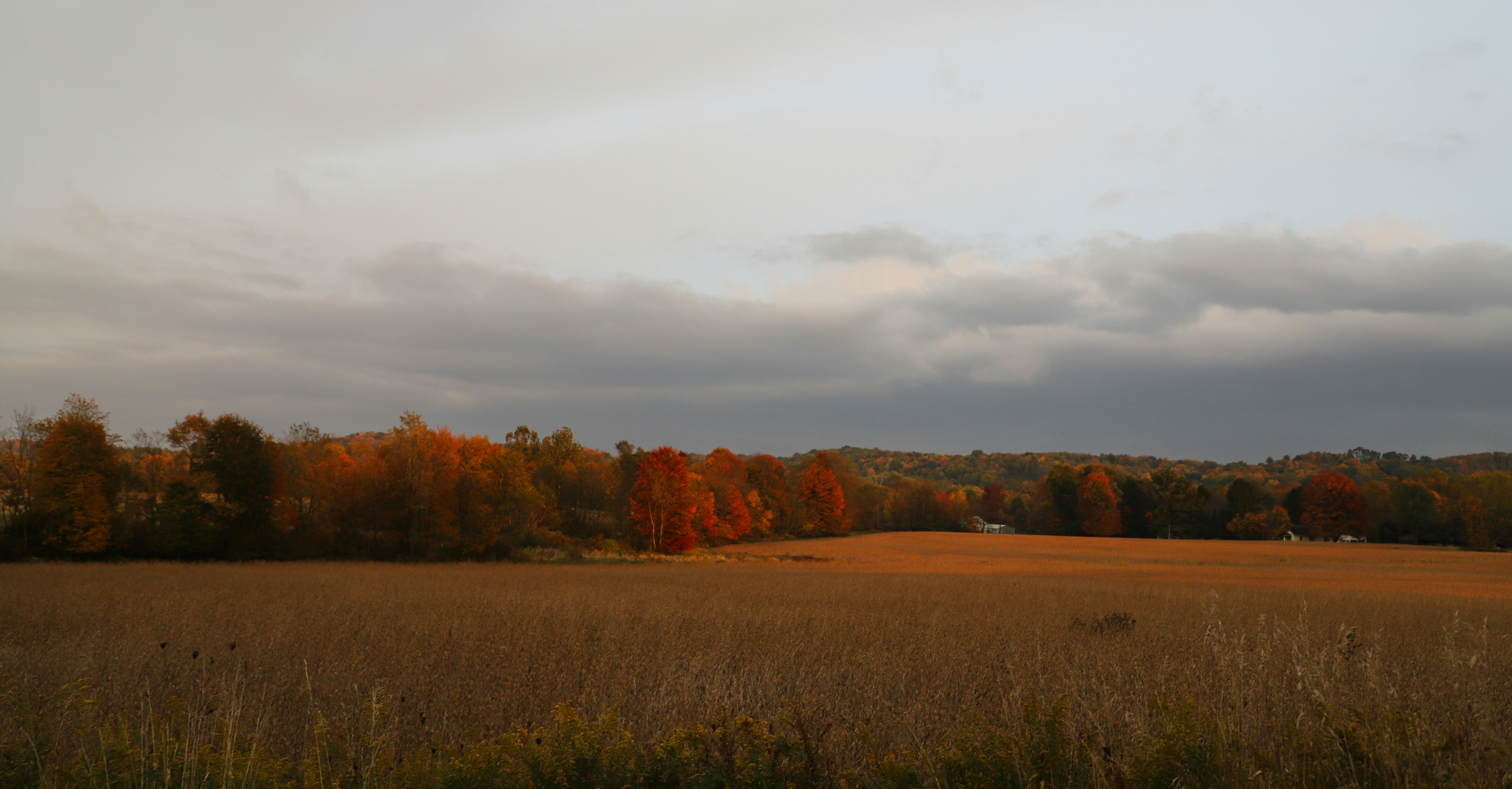 Photo by michaelbweidner