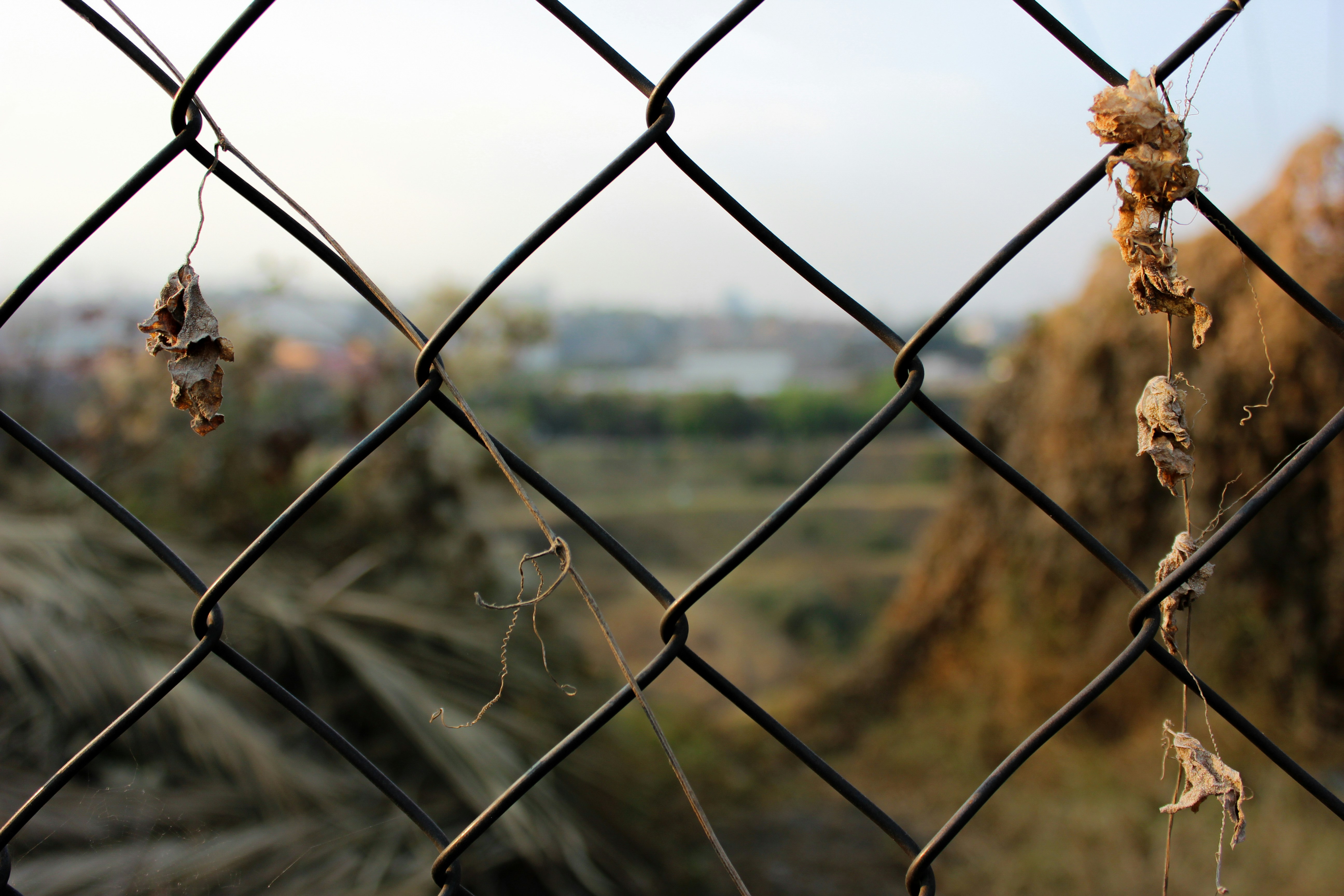 grey metal fence with water droplets