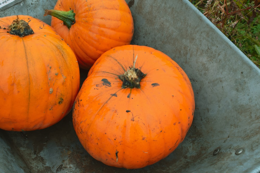 orange pumpkin on gray concrete floor