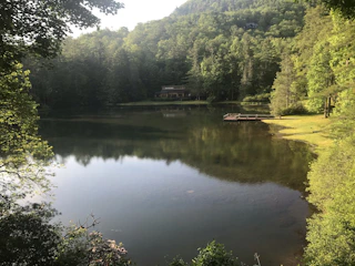 A tranquil lakeside property surrounded by nature.