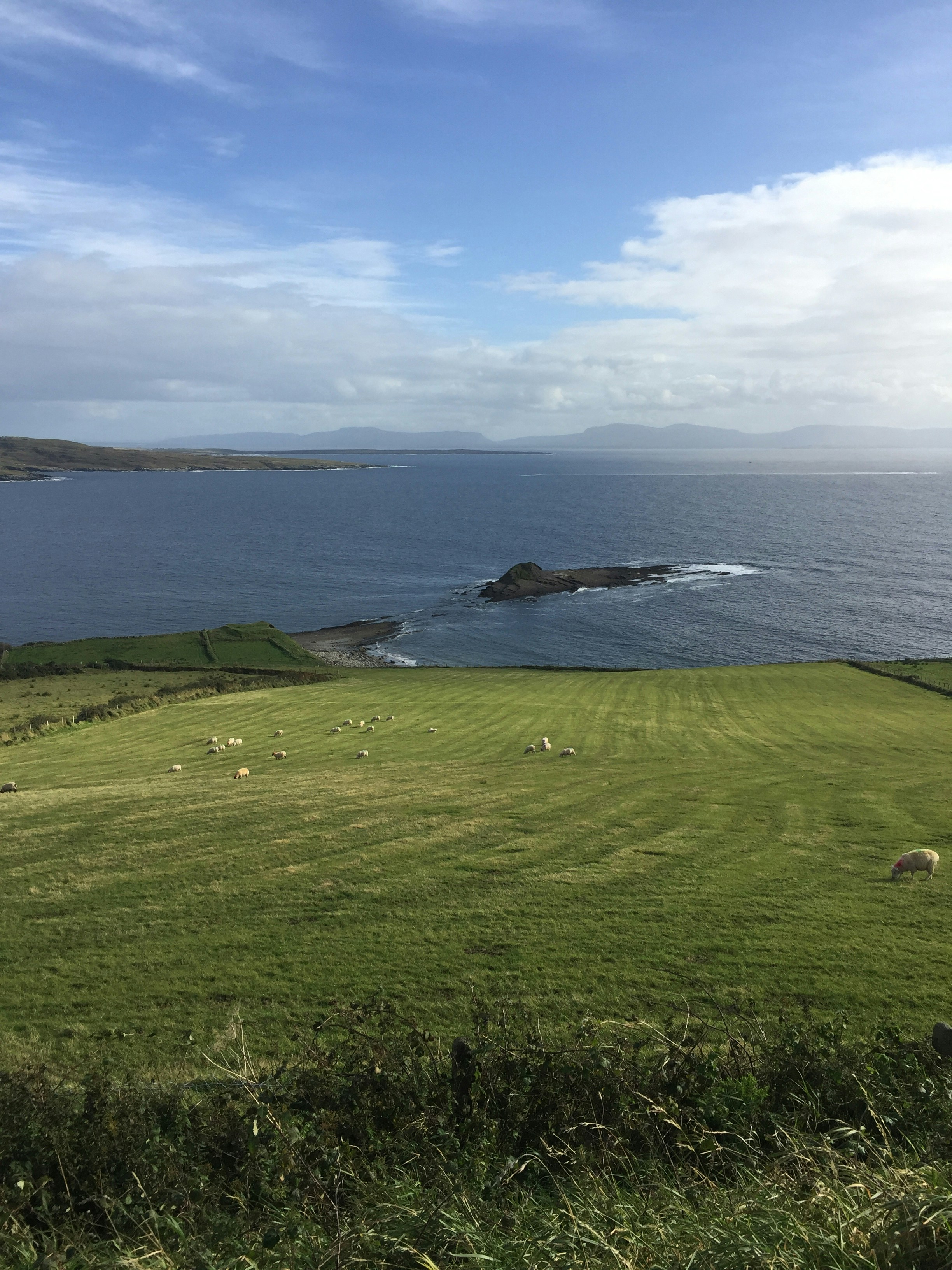 Photo by midkiffaries