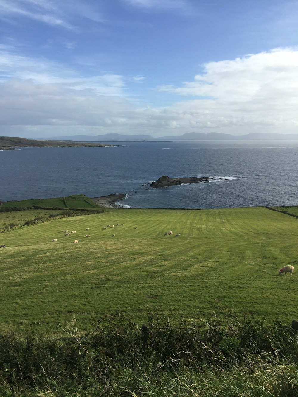 green grass field near body of water during daytime