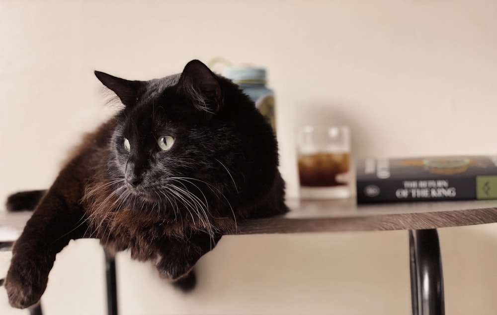 black cat on white table