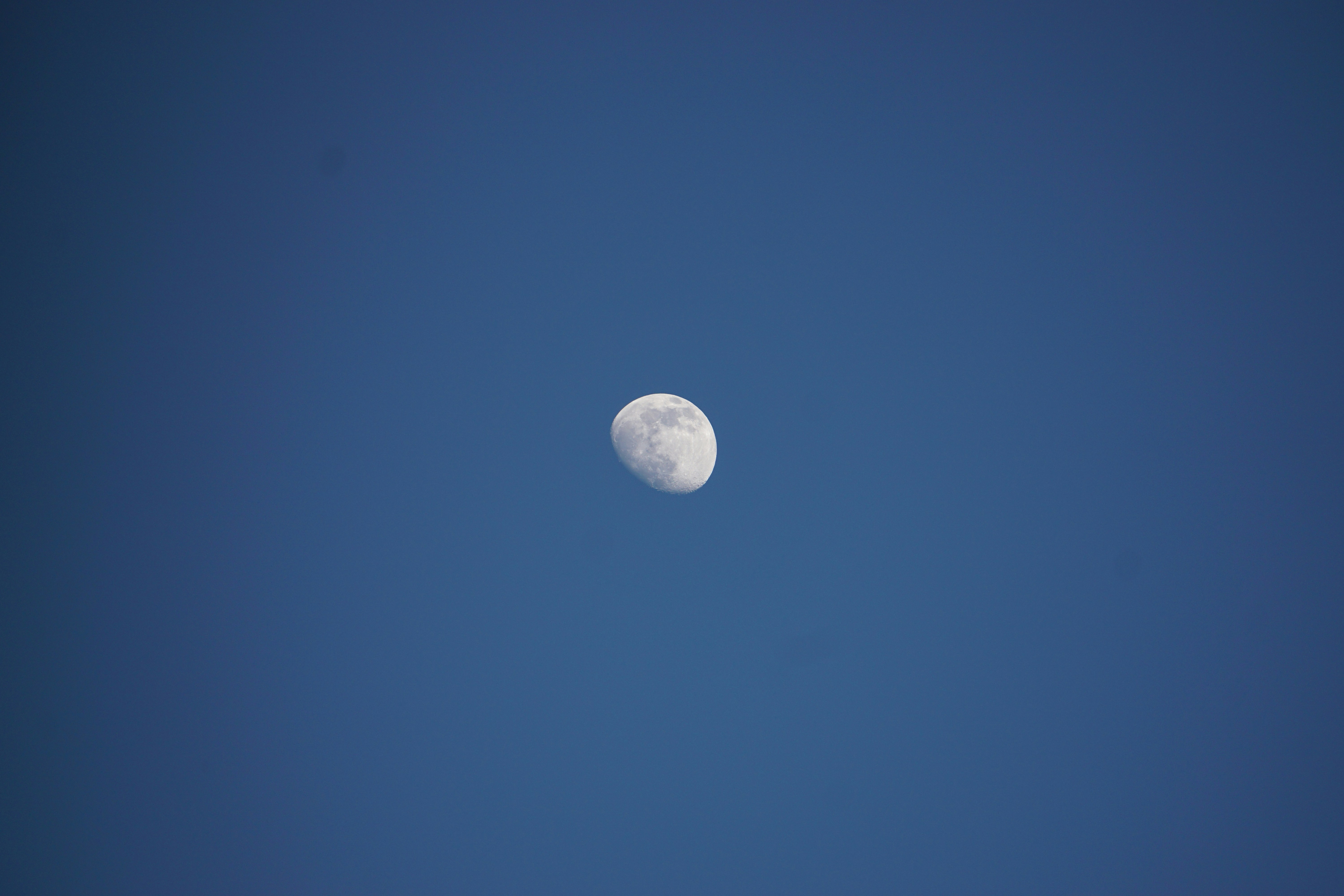 Photo by imaginaryflavour