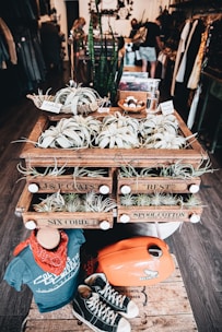 A rustic shop interior with a wooden display table holding several potted plants and decorative items. The table has drawers labeled with vintage text and contains air plants. In the foreground, a mannequin torso is dressed in a blue shirt and red bandana. Nearby, black high-top sneakers and an orange motorcycle fuel tank with the Honda logo are placed on a wooden crate. People are visible shopping in the background.