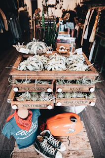 A friendly shop counter with mannequins and decorative pots displayed.