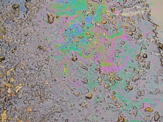 Clean driveway with visible before and after sections showing oil stain removal.