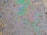 A patch of oil covers a wet asphalt surface, featuring an array of small stones and irregular textures. The oil creates a swirling pattern of iridescent colors including greens, purples, and blues, reflecting light in a rainbow-like effect.
