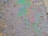 A patch of oil covers a wet asphalt surface, featuring an array of small stones and irregular textures. The oil creates a swirling pattern of iridescent colors including greens, purples, and blues, reflecting light in a rainbow-like effect.