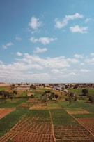 A sprawling agricultural landscape features a patchwork of green and brown fields under a clear blue sky. Light clouds dot the sky, and a distant town with buildings is visible on the horizon. Trees and small roads intersect the fields, adding texture to the rural scene.