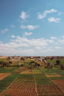 A sprawling agricultural landscape features a patchwork of green and brown fields under a clear blue sky. Light clouds dot the sky, and a distant town with buildings is visible on the horizon. Trees and small roads intersect the fields, adding texture to the rural scene.