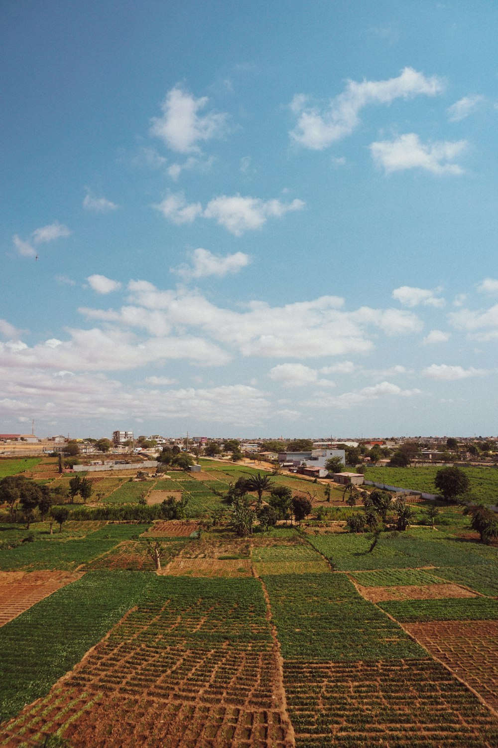 green grass field under blue sky during daytime