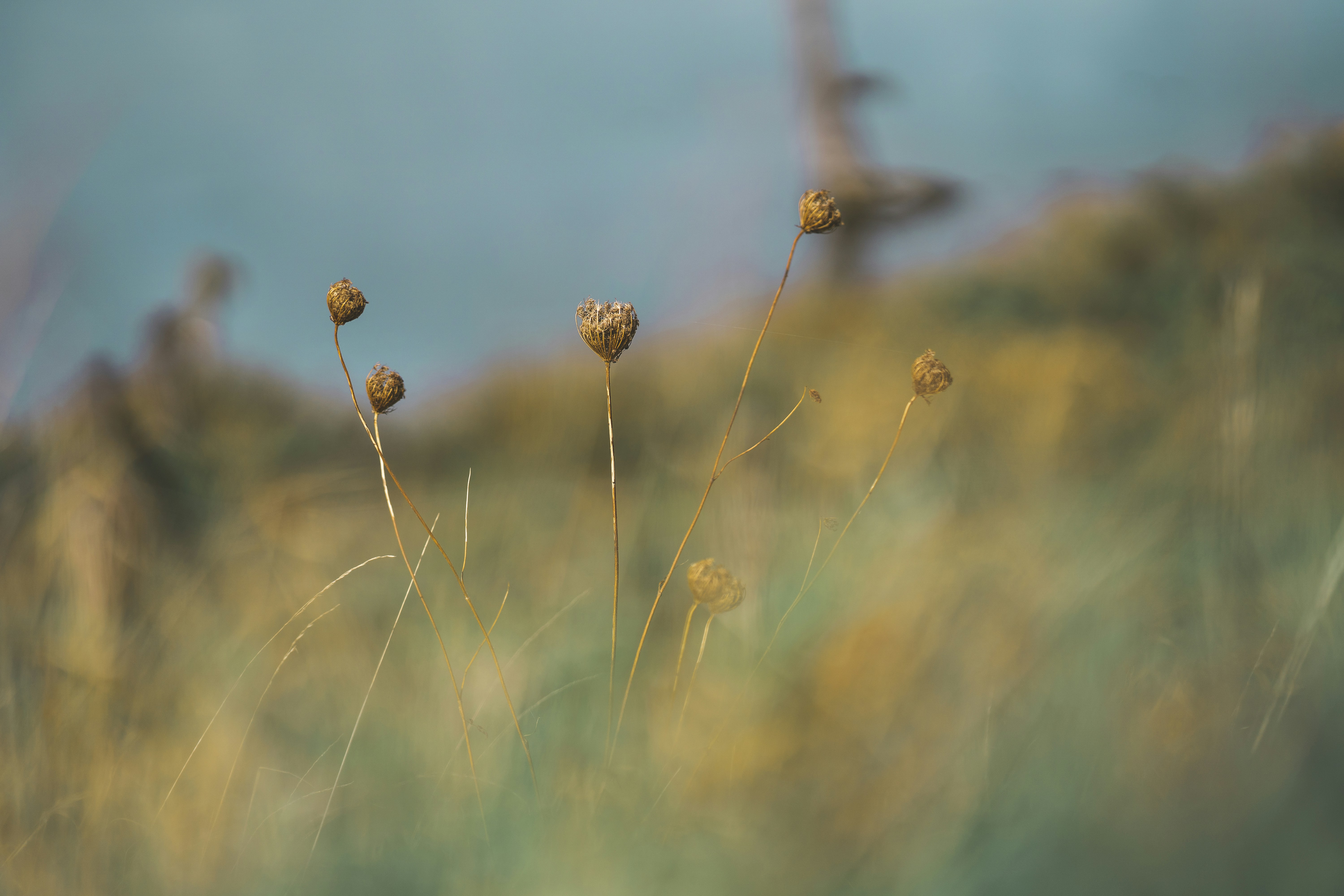 Photo by omarvellous14