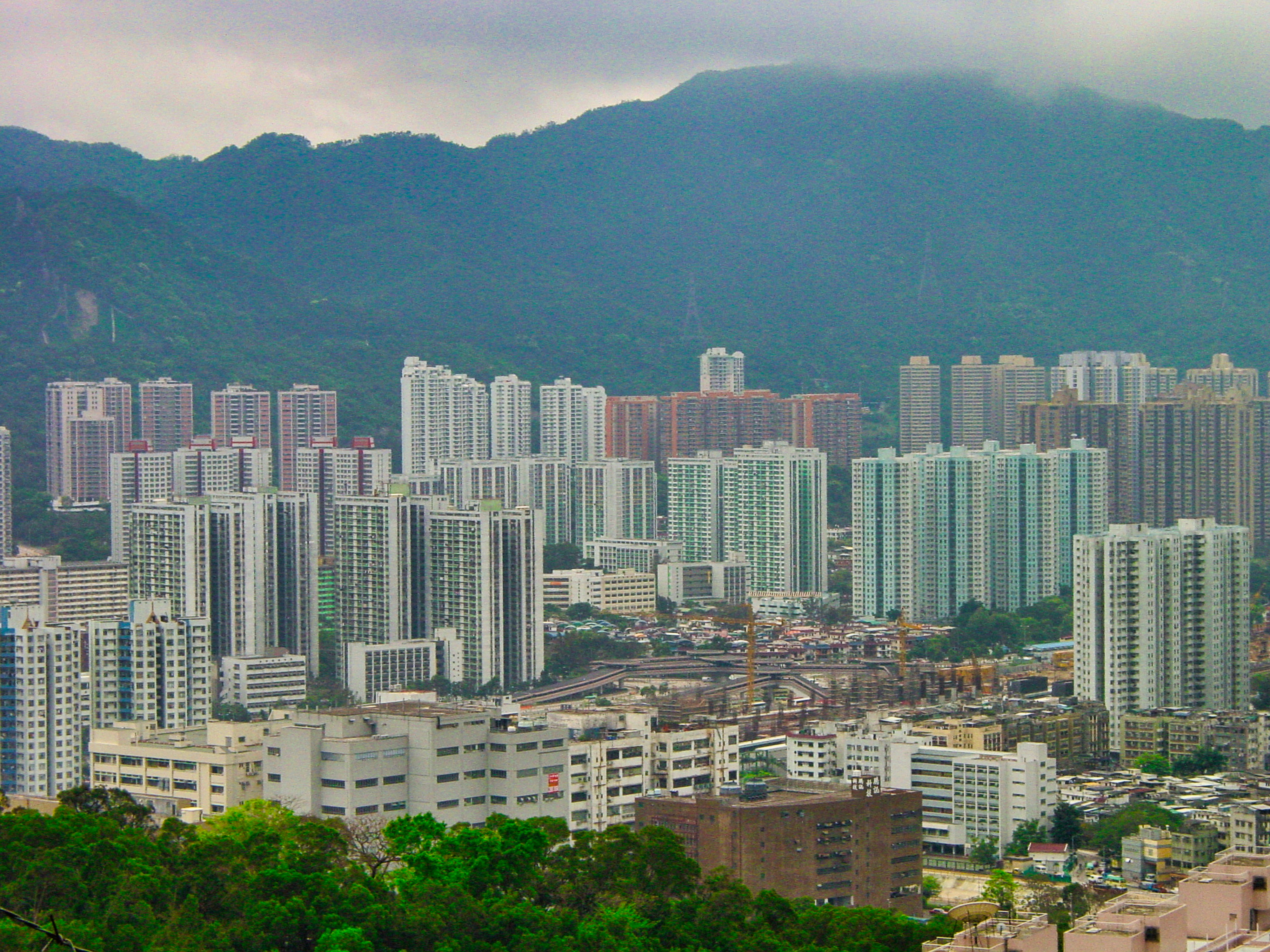 Photo by thomaskinto