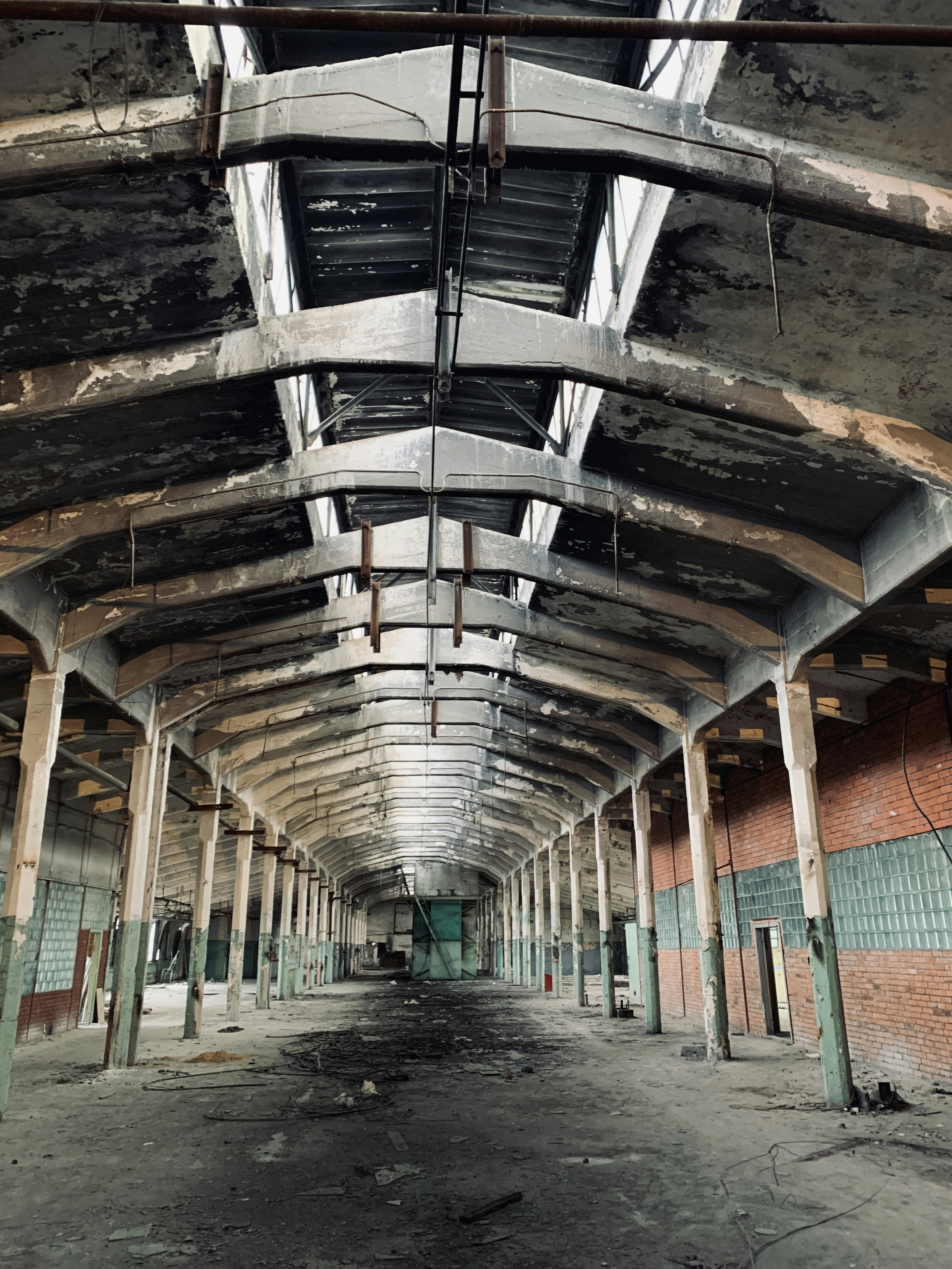 Photo by kasparseglitis