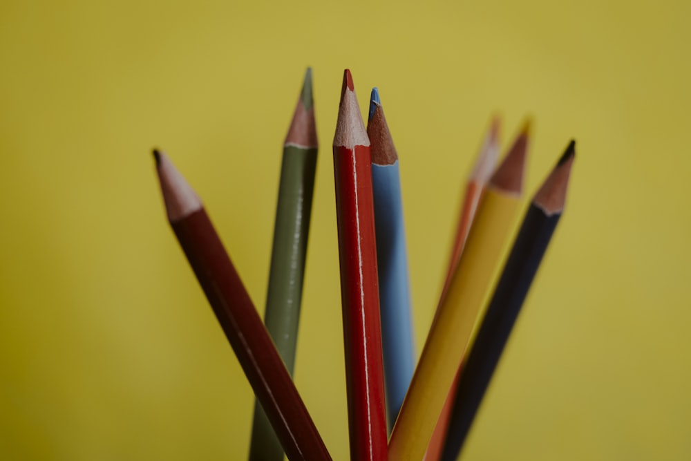 crayons de couleur rouge, bleu et violet