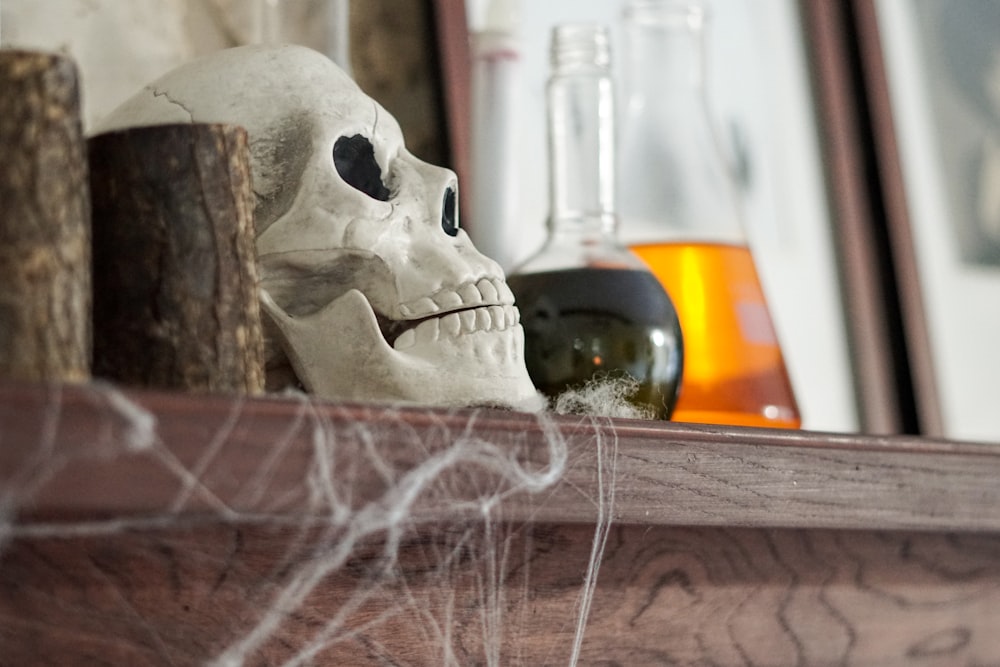 white skull on brown wooden table