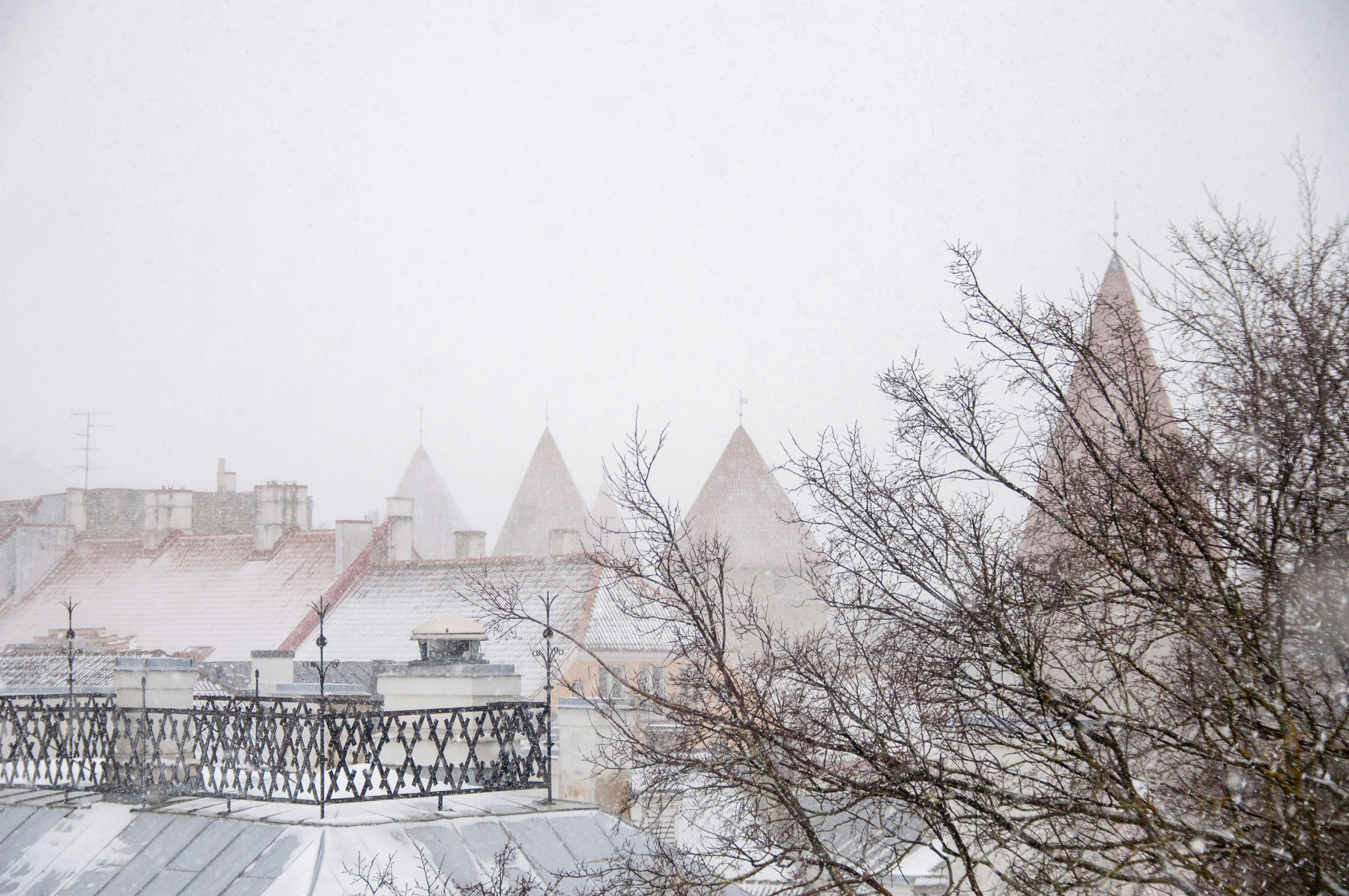 Photo by hertwashere