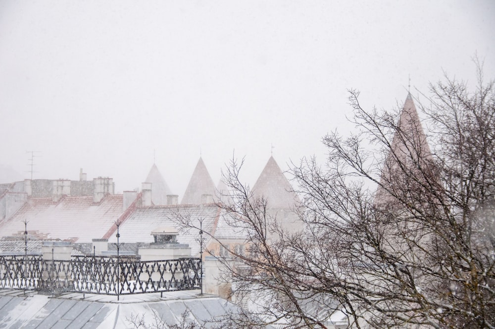 white and black wooden fence covered with snow