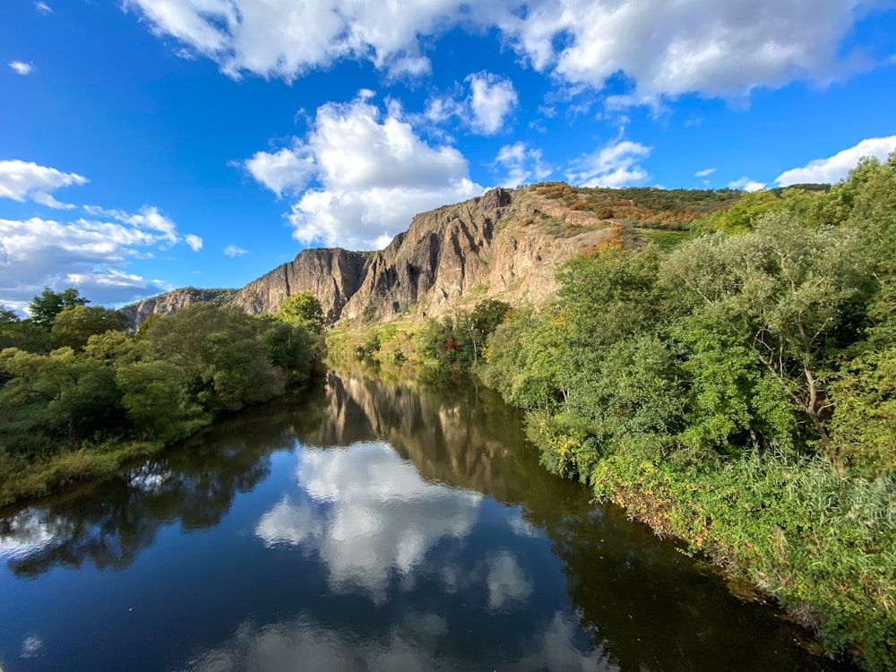 green trees beside river under blue sky during daytime