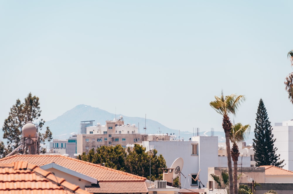 white and brown concrete buildings during daytime