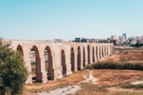 brown concrete bridge under blue sky during daytime