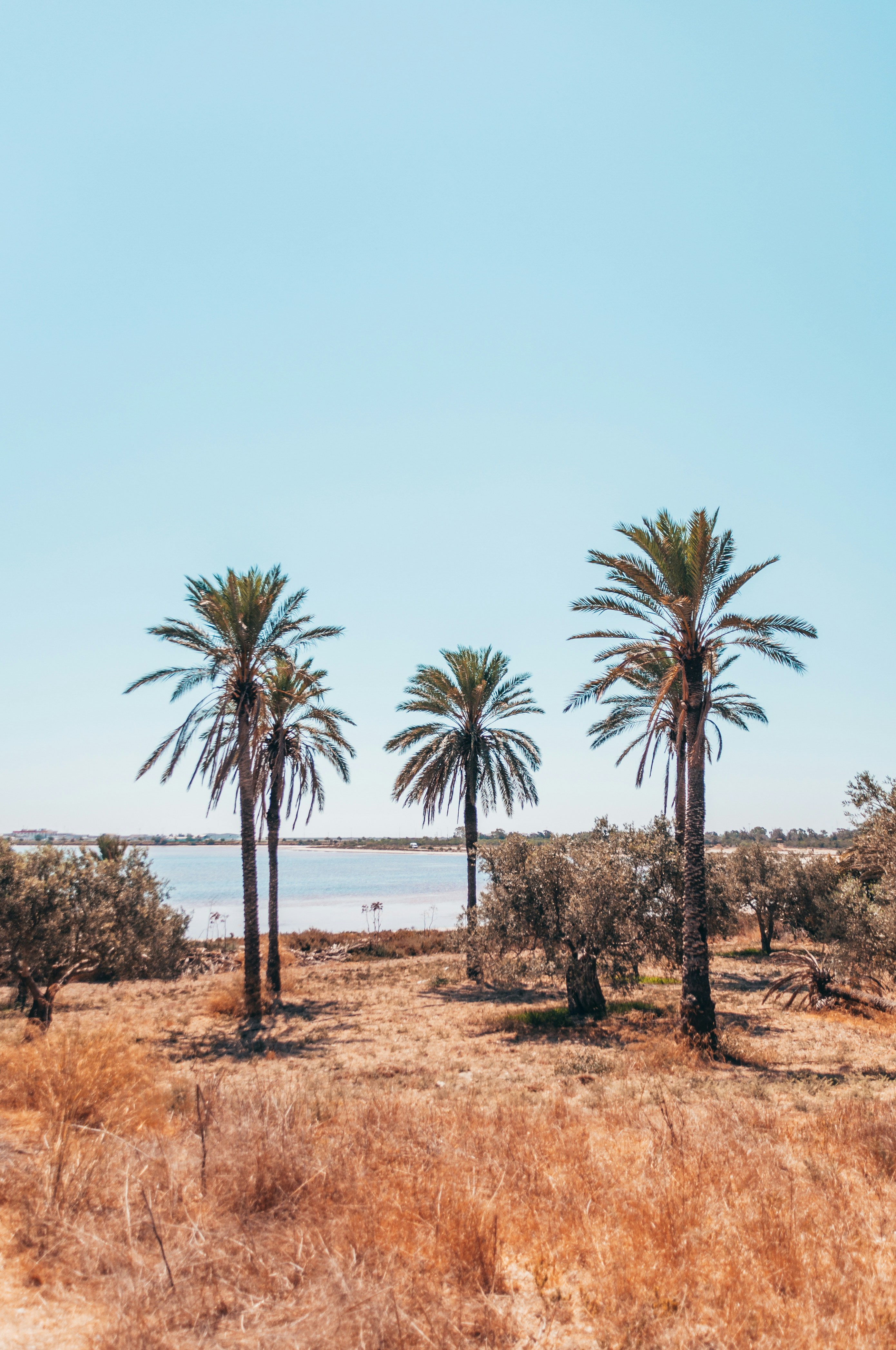 Photo by hertwashere