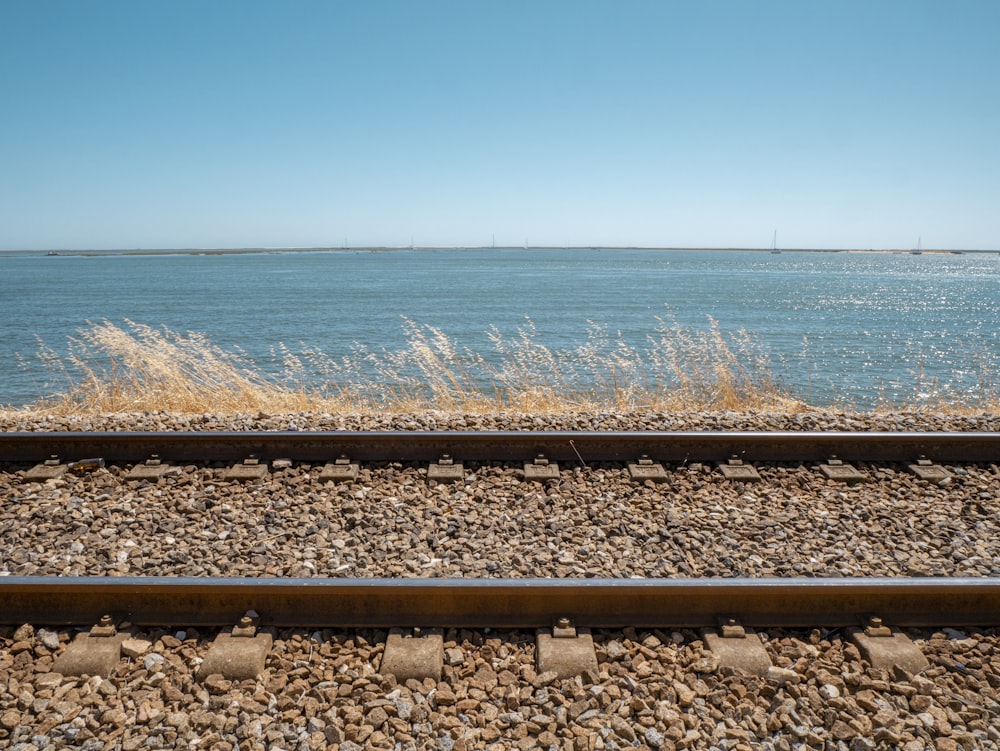brown train rail near body of water during daytime