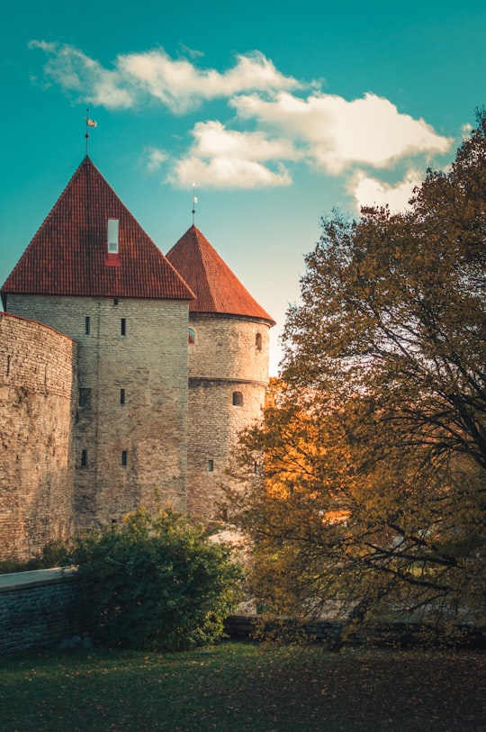 None in Old Tallin Wall Estonia