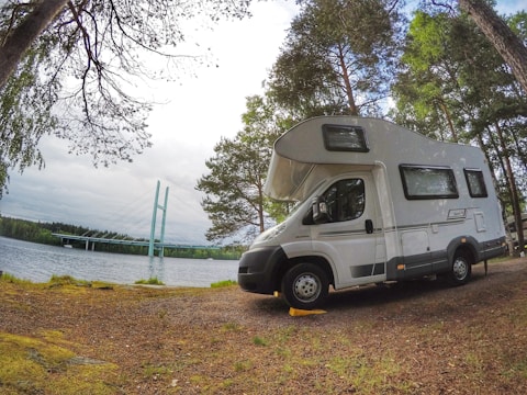 white and gray van parked beside green trees during daytime