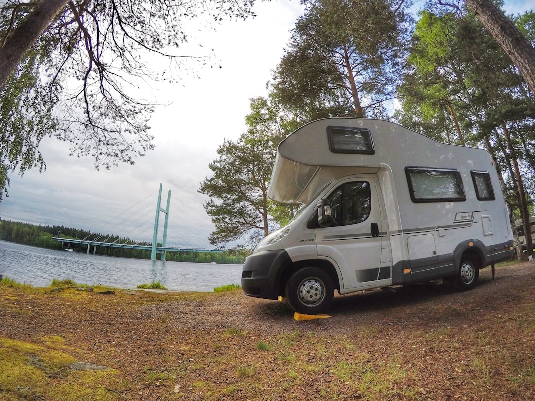 white and gray van parked beside green trees during daytime